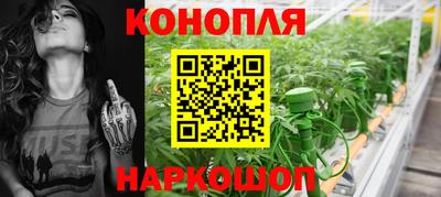 шишки Кинель