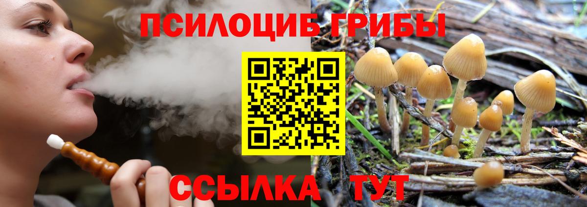 Галлюциногенные грибы мицелий Кировск